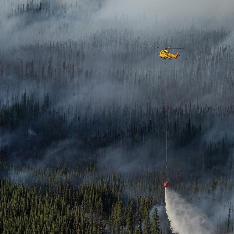 B.C. must urgently change forest strategies or face more wildfire disasters: report